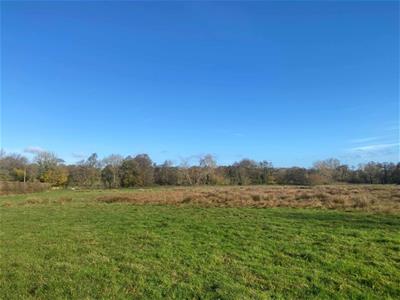 Click to view more details